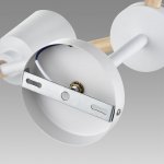 Люстра потолочная Lumion 8097/3C ROSALINA