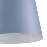 Люстра потолочная Lumion 8098/6C ROSALINA