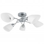 Потолочная люстра Spot Light Viletta 8141527