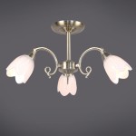 Светильник Colosseo 81637/3C optima