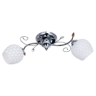 Потолочный светильник Экономсвет 817EM/2CR WT