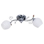 Потолочный светильник Экономсвет 817EM/2CR WT