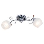 Потолочный светильник Экономсвет 817EM/2CR WT