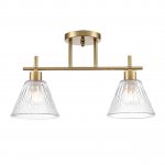 Потолочный светильник Lumion 8188/2C VIVIAN