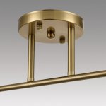 Потолочный светильник Lumion 8188/2C VIVIAN