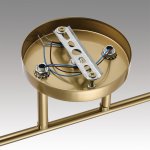 Потолочный светильник Lumion 8188/2C VIVIAN