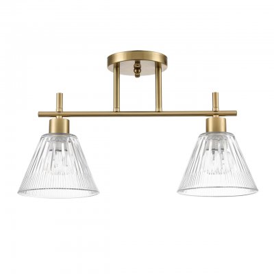 Потолочный светильник Lumion 8188/2C VIVIAN Потолочный светильник Lumion 8188/2C VIVIAN