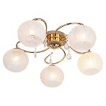 Люстра современная Экономсвет 818EM/5