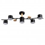 Потолочный светильник Lumion 8194/5C CRYPTO