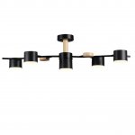 Потолочный светильник Lumion 8194/5C CRYPTO