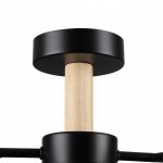 Потолочный светильник Lumion 8194/5C CRYPTO