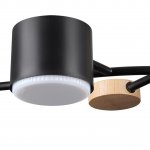 Потолочный светильник Lumion 8194/5C CRYPTO