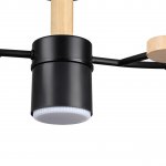 Потолочный светильник Lumion 8194/5C CRYPTO