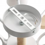 Потолочный светильник Lumion 8196/10C RONDO