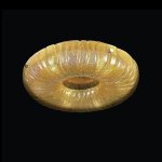 Светильник потолочный Lightstar 820363 Zucche