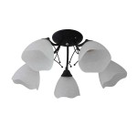 Люстра потолочная Colosseo 82185/5C