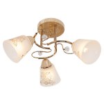 Потолочный светильник Экономсвет 822EM/3