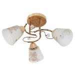 Потолочный светильник Экономсвет 822EM/3