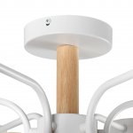 Светильник потолочный Lumion 8231/6C RONDO