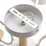 Светильник потолочный Lumion 8231/6C RONDO