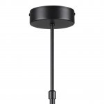 Люстра потолочная Lumion 8234/6C VIRSAVA