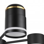 Люстра потолочная Lumion 8234/6C VIRSAVA