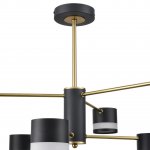 Люстра потолочная Lumion 8240/6C LANIKA