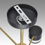 Люстра потолочная Lumion 8240/6C LANIKA