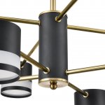 Люстра потолочная Lumion 8240/8C LANIKA