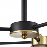 8248/6C COMFI LN 000 черный/античное золото/дымчатый, металл/стекло Люстра потолочная Е27 6*60W 220V TAURICA