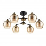 Люстра потолочная Lumion 8249/6C LANDA