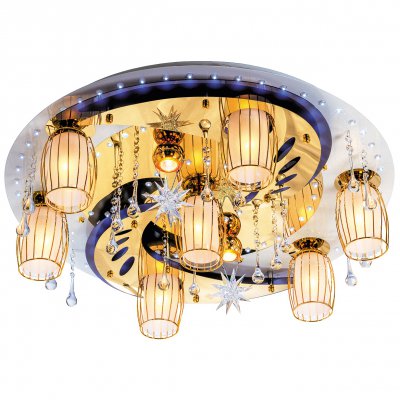 Потолочный светильник Экономсвет 8262/7+2WT+GD RC WT LED