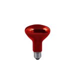 Paulmann 82966 Reflektorlampe R95 100W E27 Infarot