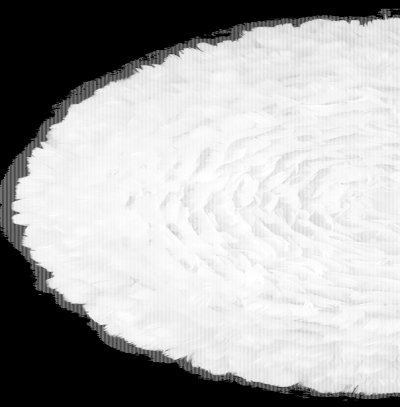 Декор на стену из перьев Plumage Pink c подсветкой Loft Concept 83.030