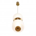 Подвесной одиночный светильник Lumion 8324/20L TAISHA
