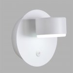 Настенные светильники Lumion 8343/1W TORINA