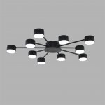 Люстра потолочная Lumion 8344/10C TORINA