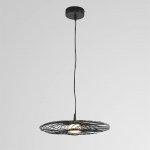 Подвесной одиночный светильник Lumion 8379/9L CAMOMILE