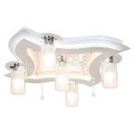 Потолочный светильник Экономсвет 8441/5WT RC WT+CL YLWTLED