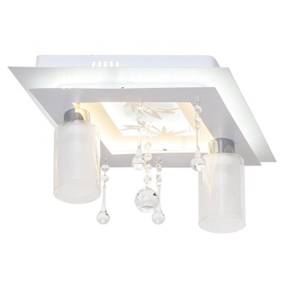 Потолочный светильник Экономсвет 8442/2WT RC WT+CL YLWTLED