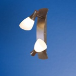 Светильник поворотный спот Eglo 87362 ONA 1