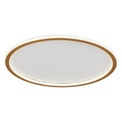 Потолочный светодиодный светильник 88008/50GD Экономсвет