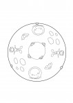 Детский светильник Eglo 88972 JUNIOR 2