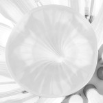 Люстра подвесная Lightstar 891186 Bardano