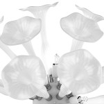 Светильник настенный Lightstar 891656 Bardano