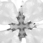 Светильник настенный Lightstar 891656 Bardano