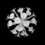 Светильник настенный Lightstar 891656 Bardano