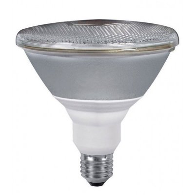 Лампа Paulmann 89221