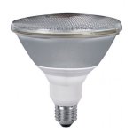 Лампа Paulmann 89221