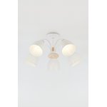 Люстра Rivoli Lulu 9029-305 5 х E27 60 Вт модерн